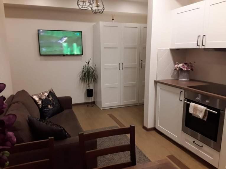 Barbora Apartament Druskieniki Zewnętrze zdjęcie